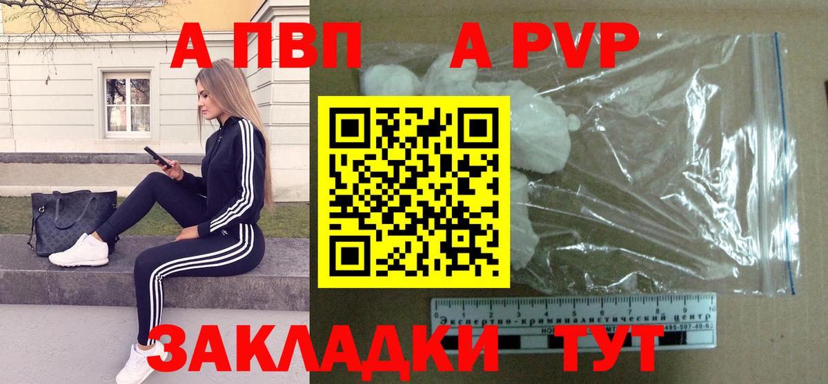 Alfa_PVP СК Сокол