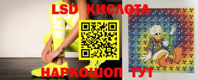 ПСИЛОЦИБИНОВЫЕ ГРИБЫ Новокубанск