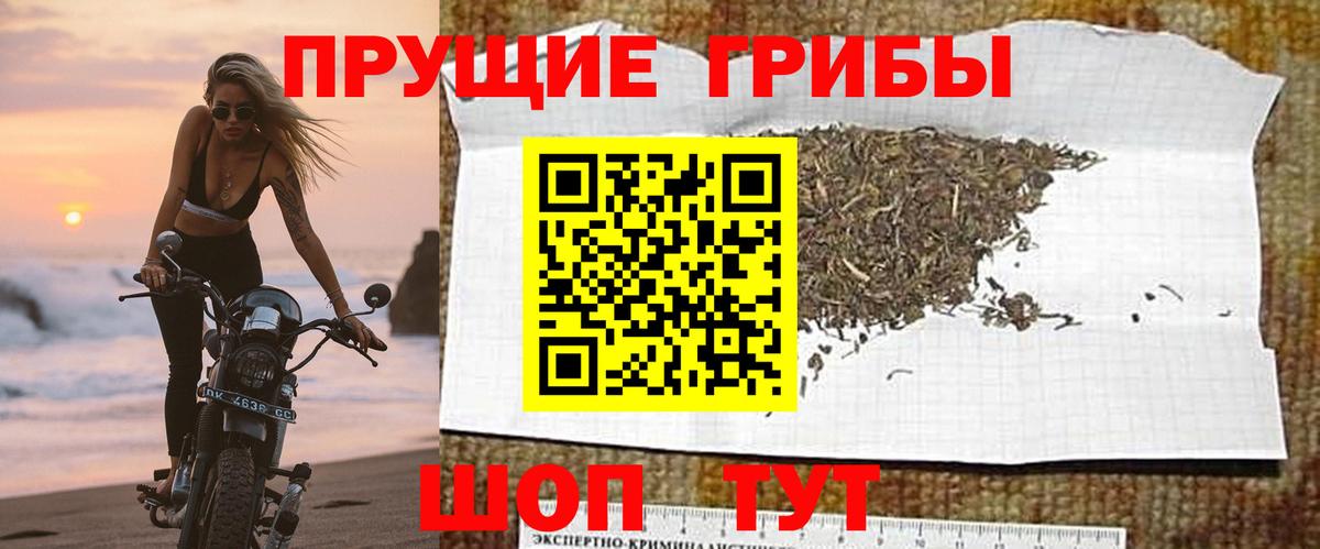 Галлюциногенные грибы мицелий  закладки  Сокол  Вход с VPN 